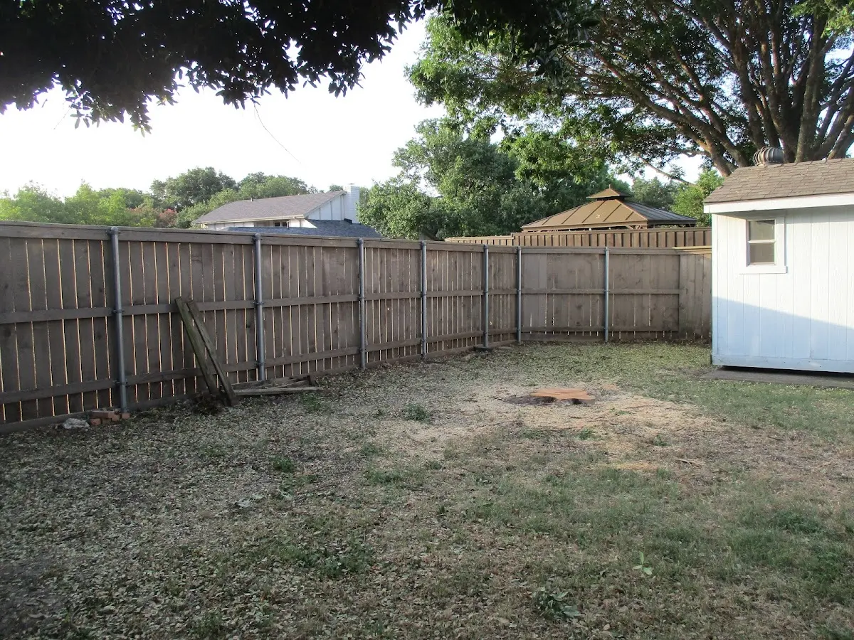 Cleared yard after professional tree removal in Ludell